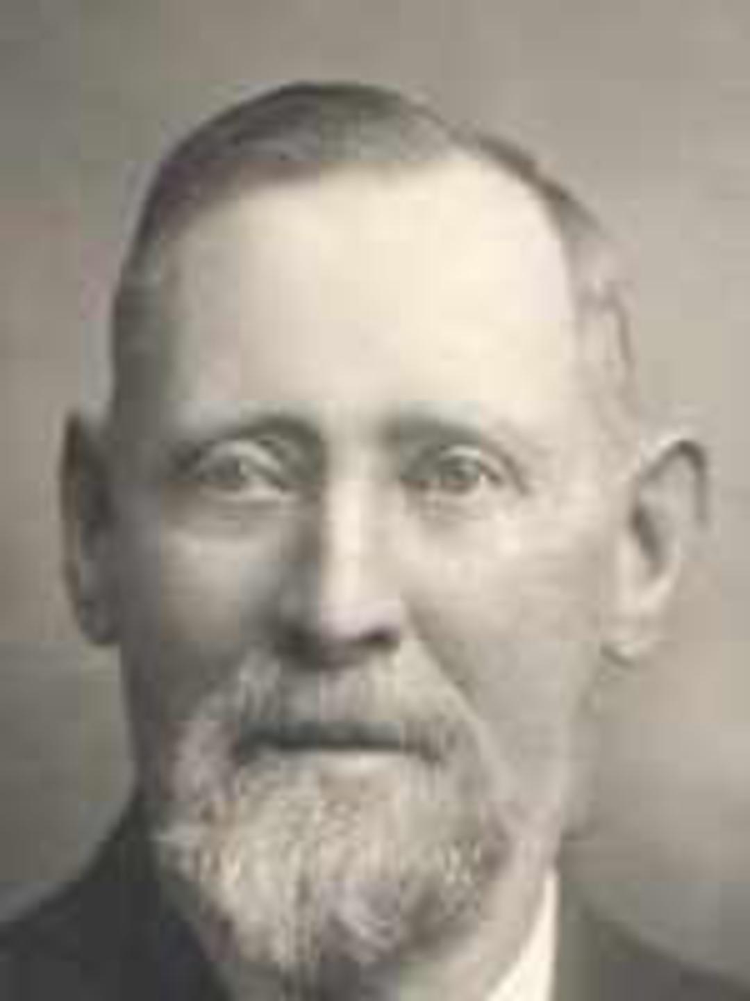 James Parry Harrison (1846 - 1937) Profile